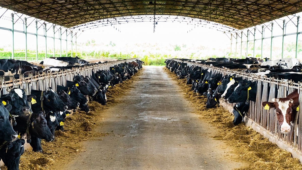 Agriculture---Animal-Husbandry